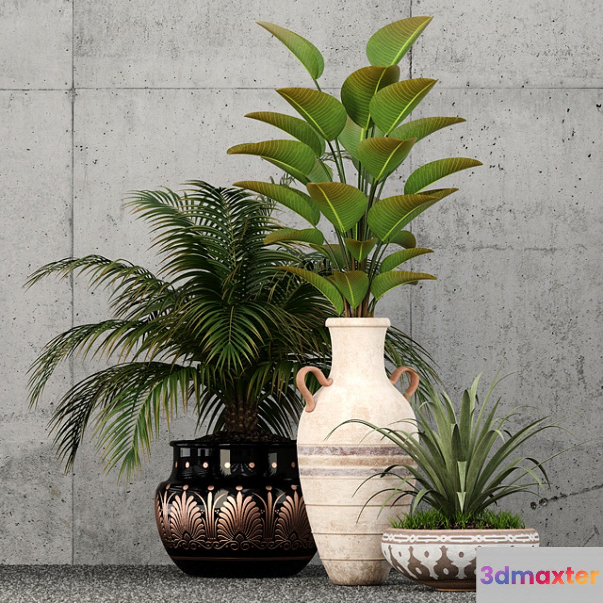 Plants collection 59 3D Max