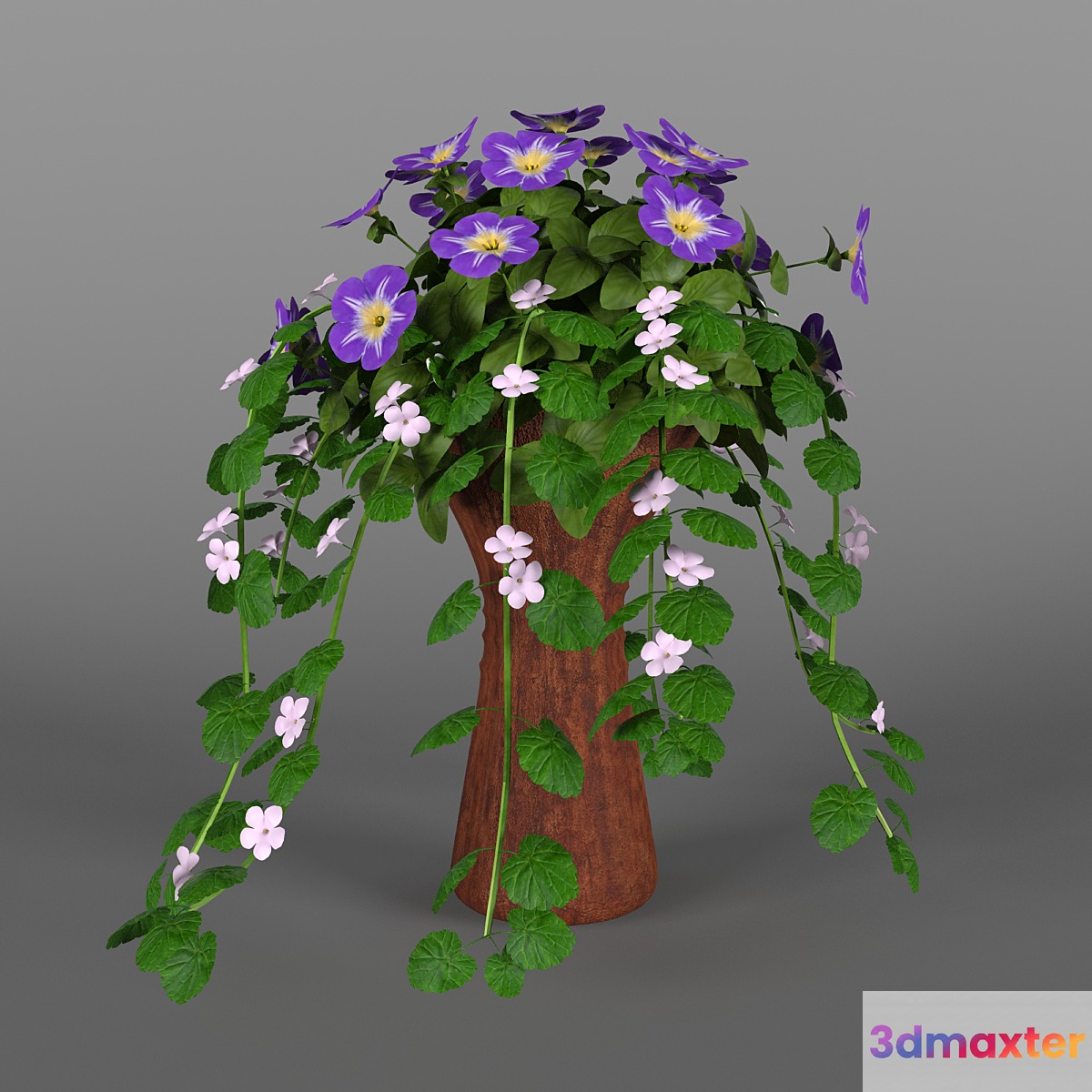 Bakop with petunia 3D Max