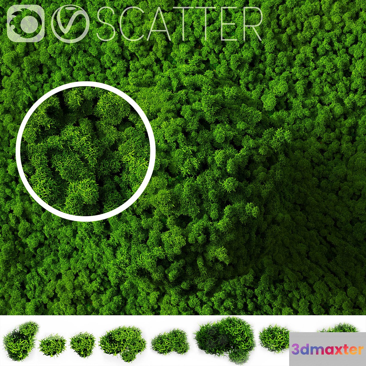 stabilized moss for scatter