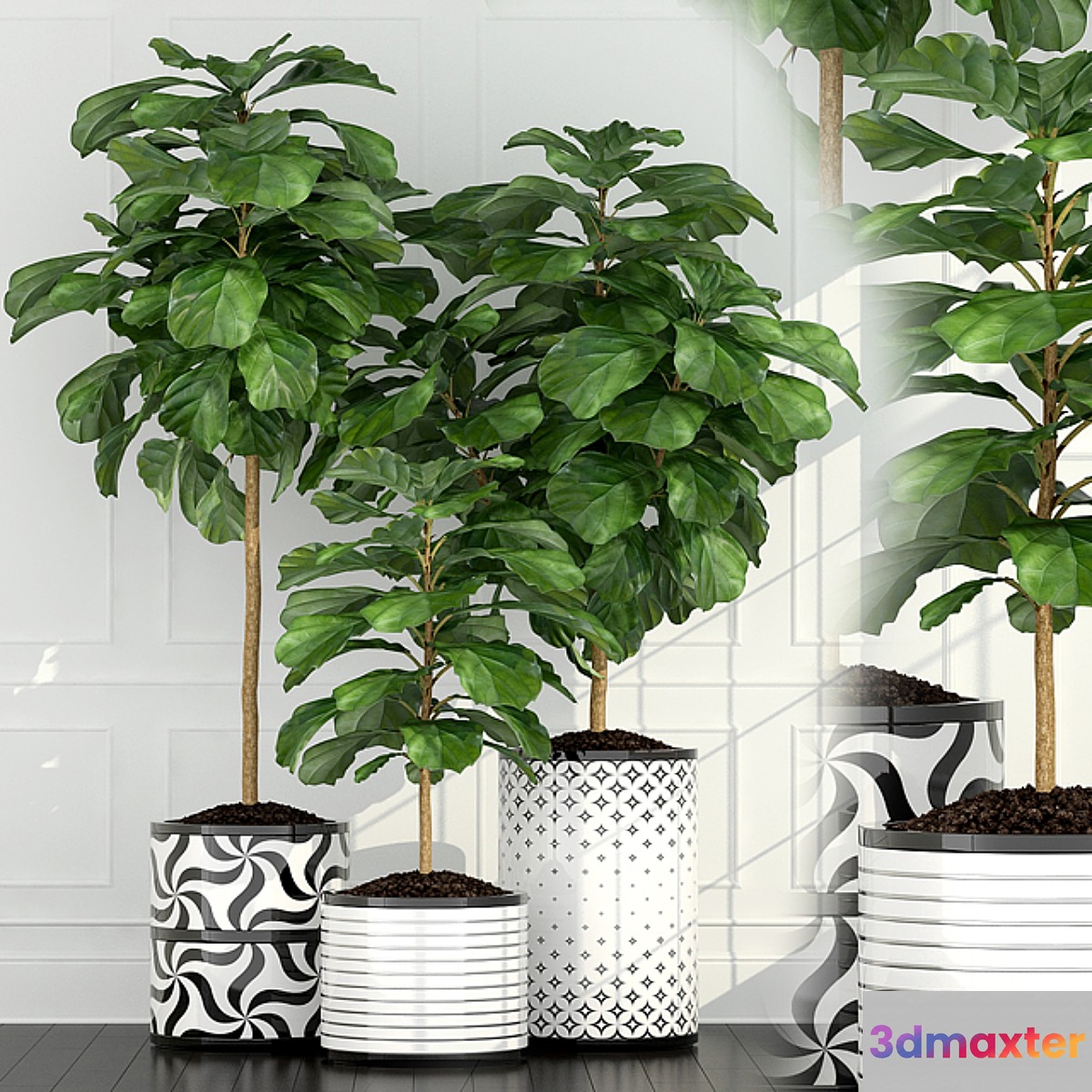 Plants collection 63 3D Max