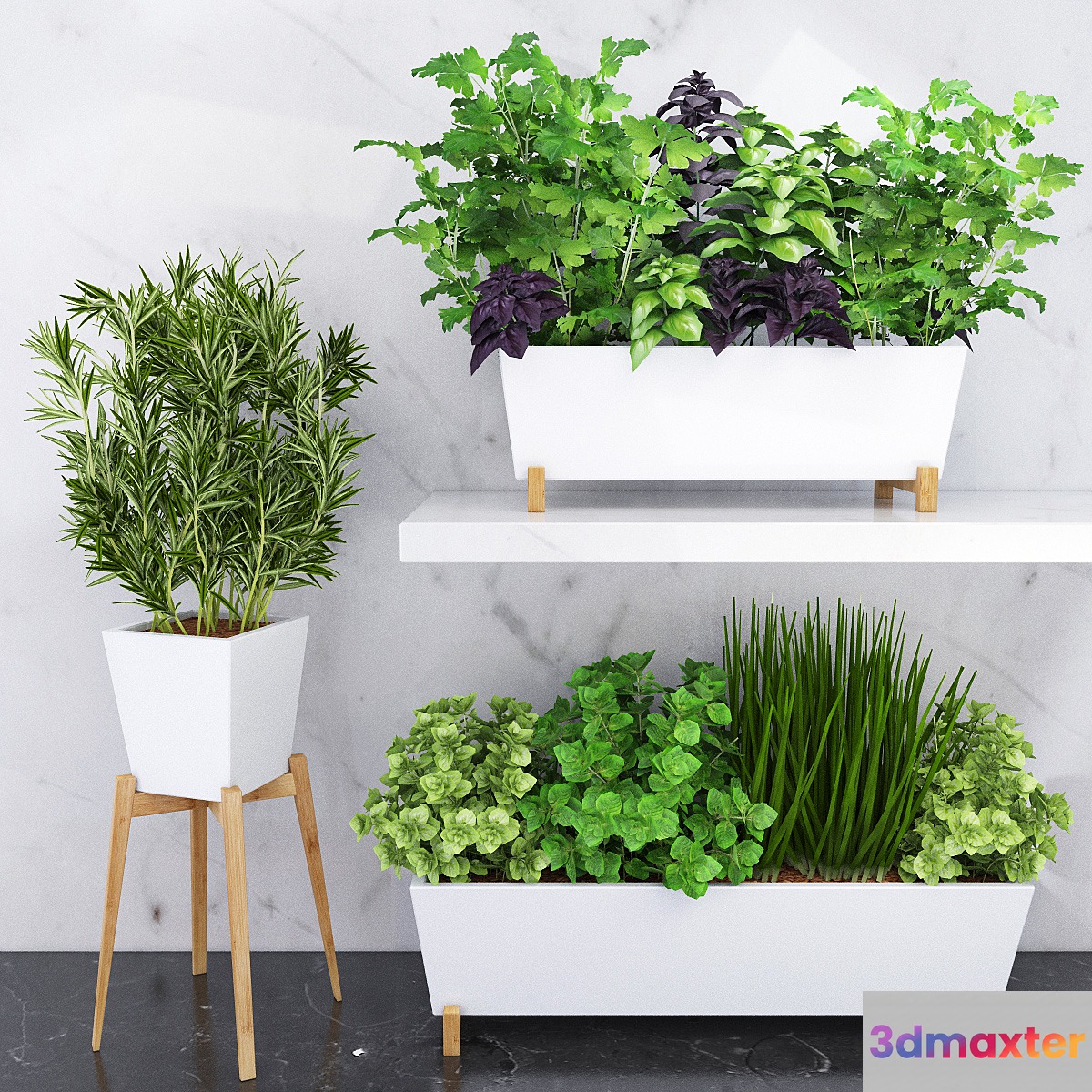 Spicy herbs for the kitchen in ceramic pots 3D Max