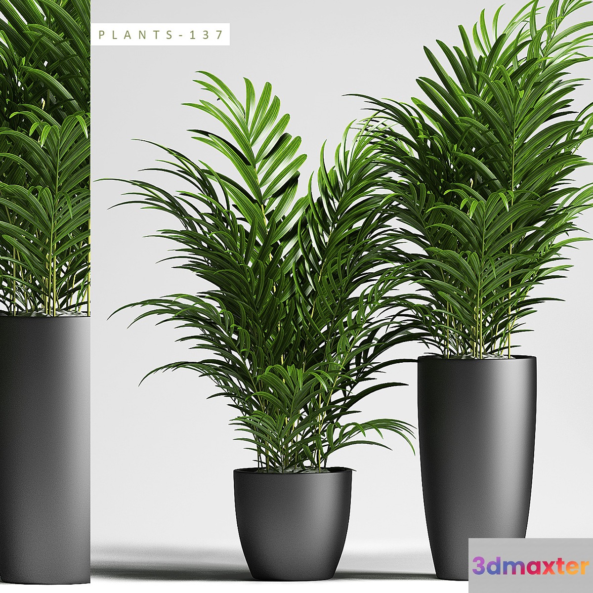 PLANTS 137 - No.3