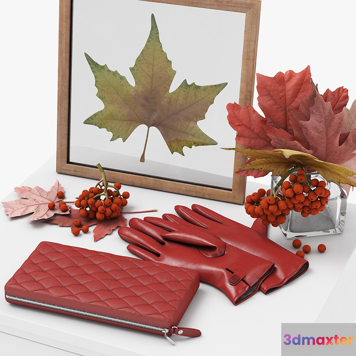 Gloves _ & _ Leafs 3D Max