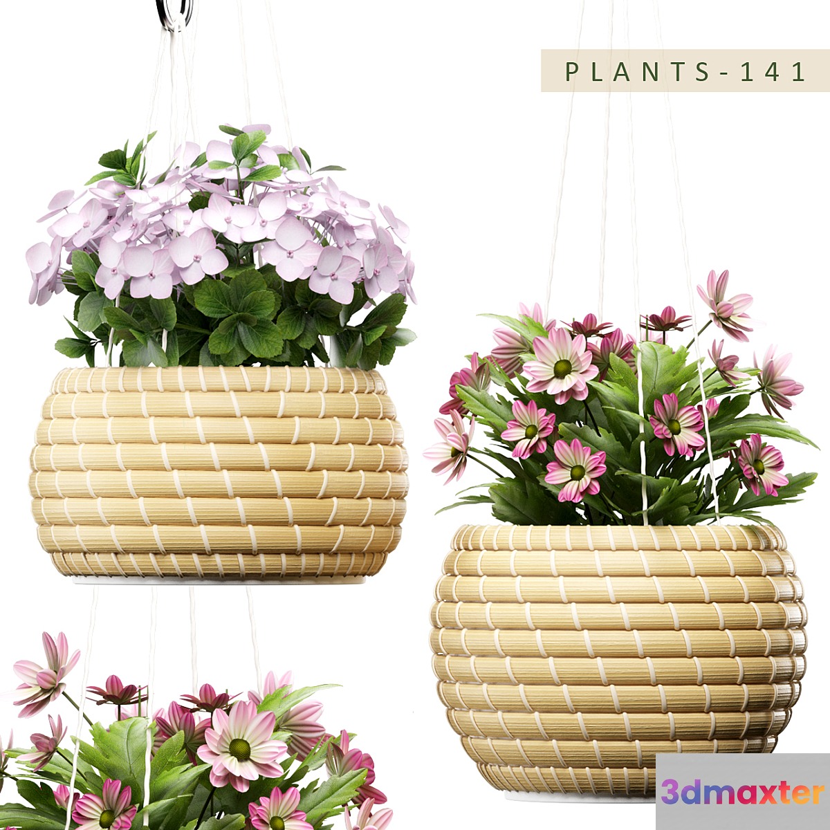 PLANTS 141