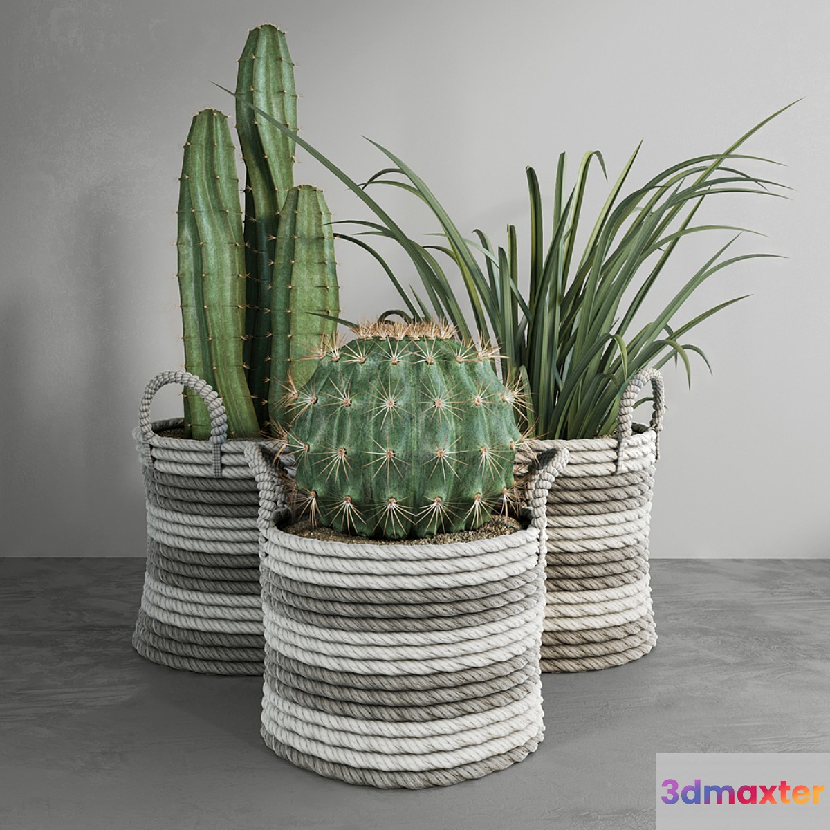 Cactus set 3D Max