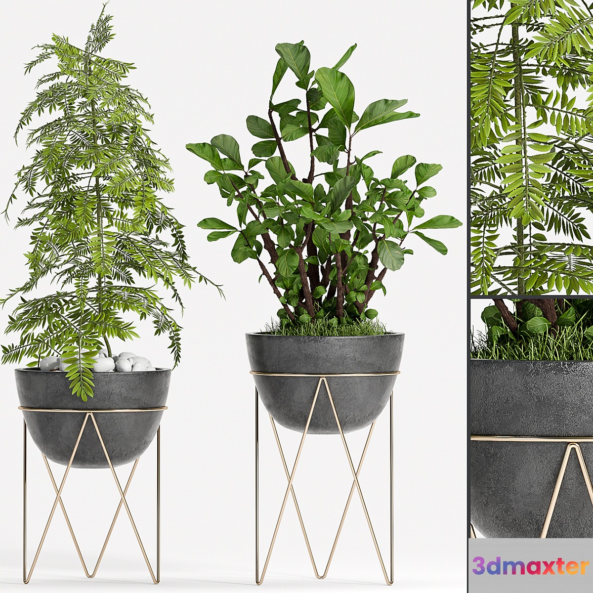 PLANT SET -85 3D Max
