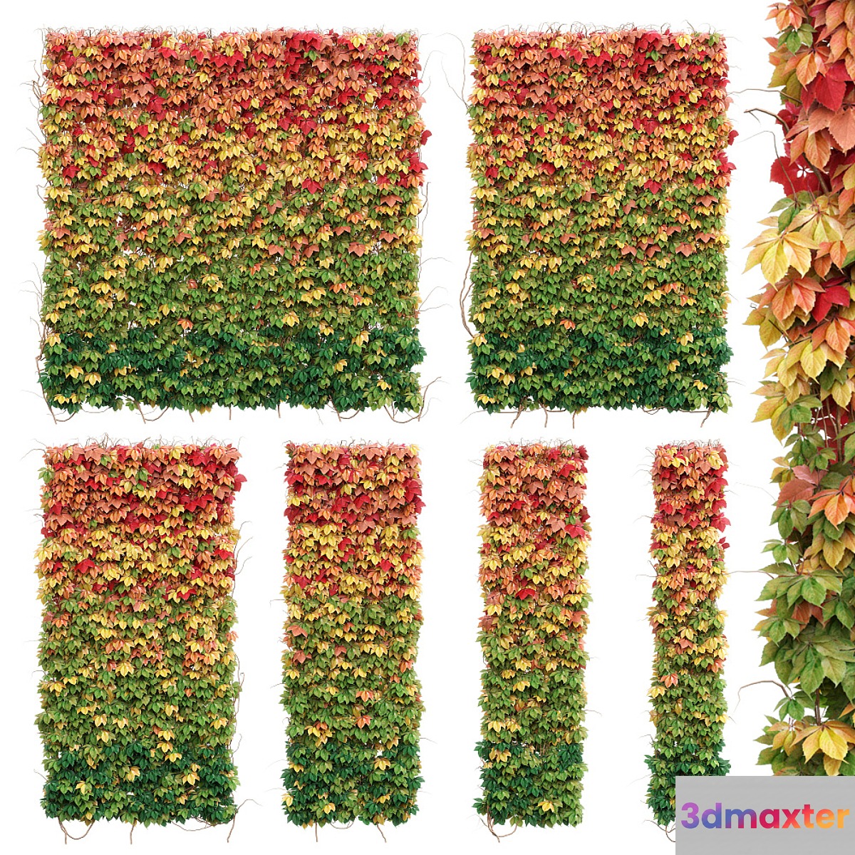 Wall from autumn leaves. Set of 6 models - No.3