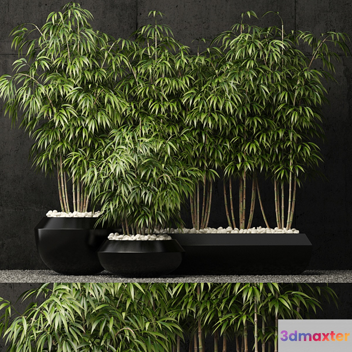 Plants collection 66 3D Max