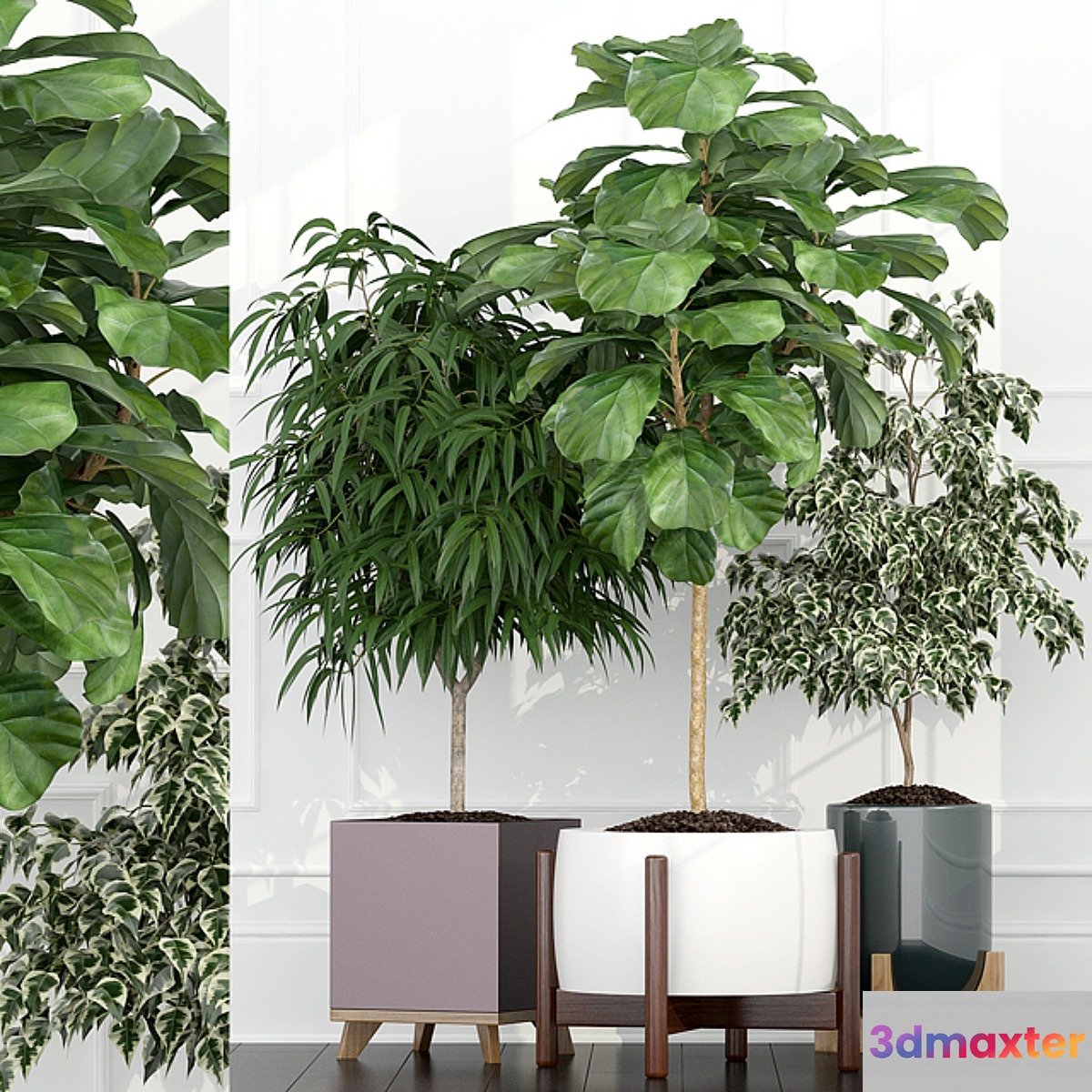 Plants collection 67 3D Max