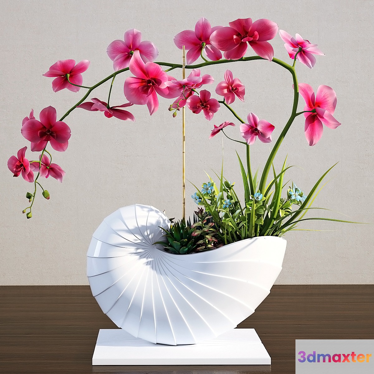 Orchid - No.19