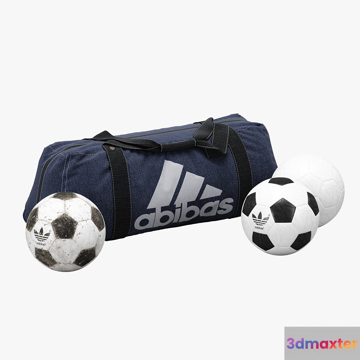 Sports Bag And Soccer Balls 3D Max