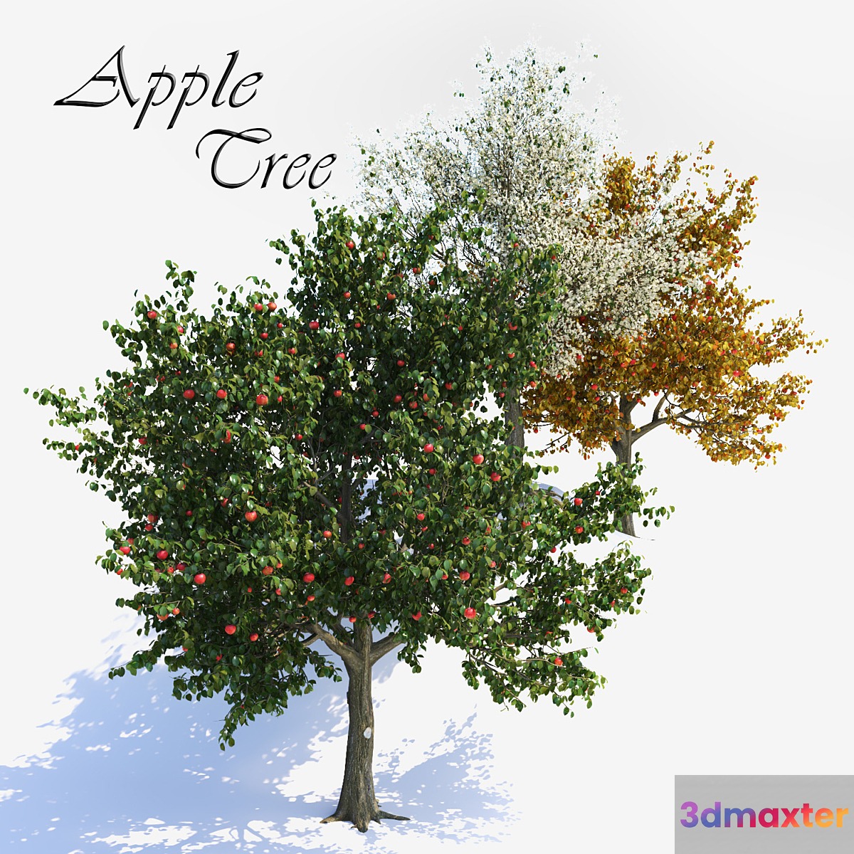Apple Tree 1 3D Max