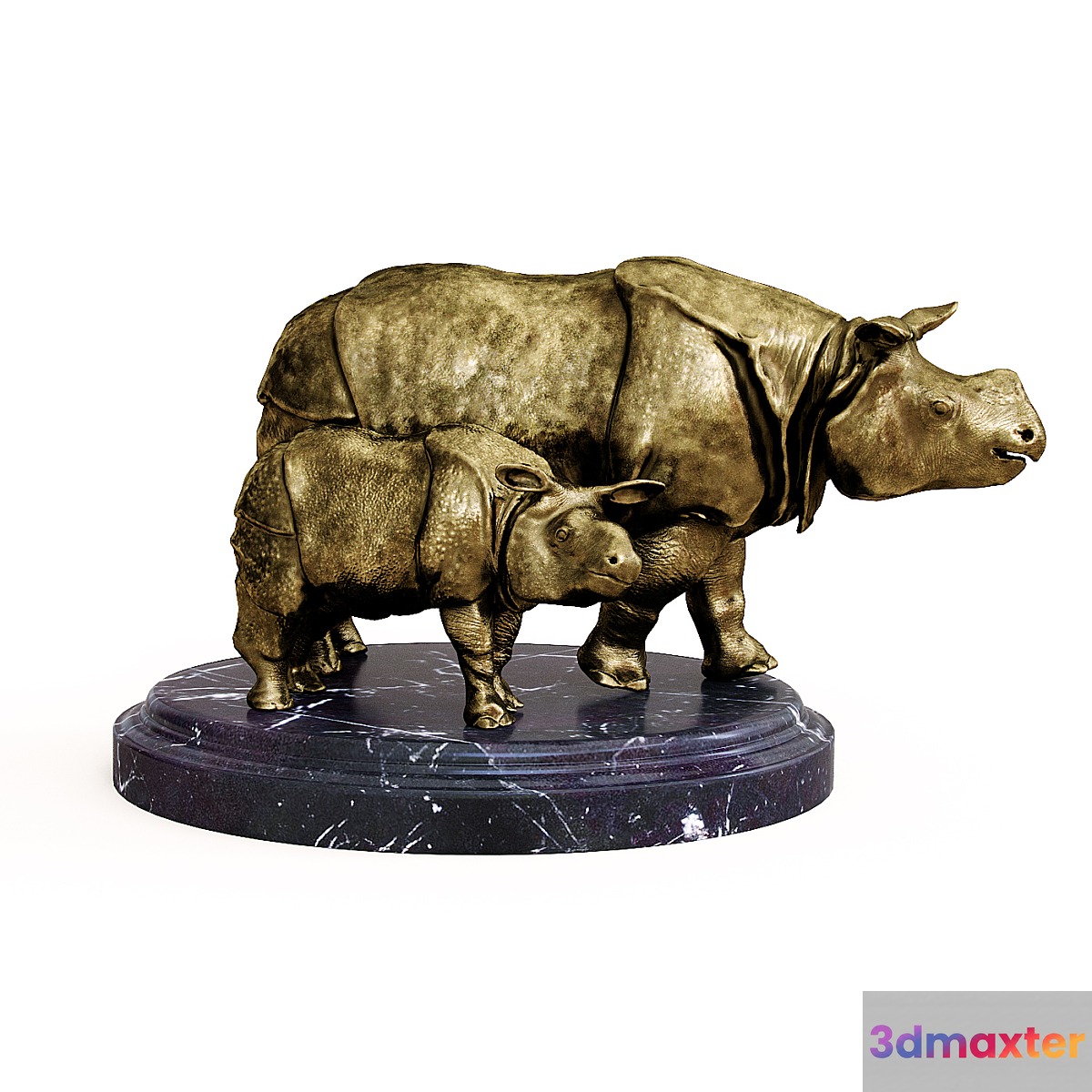 Rhinoceroses