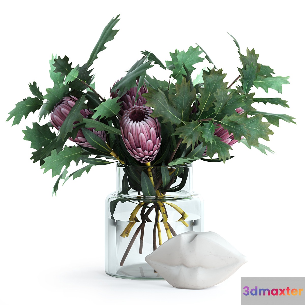 Protea & Oak leaves 3D Max