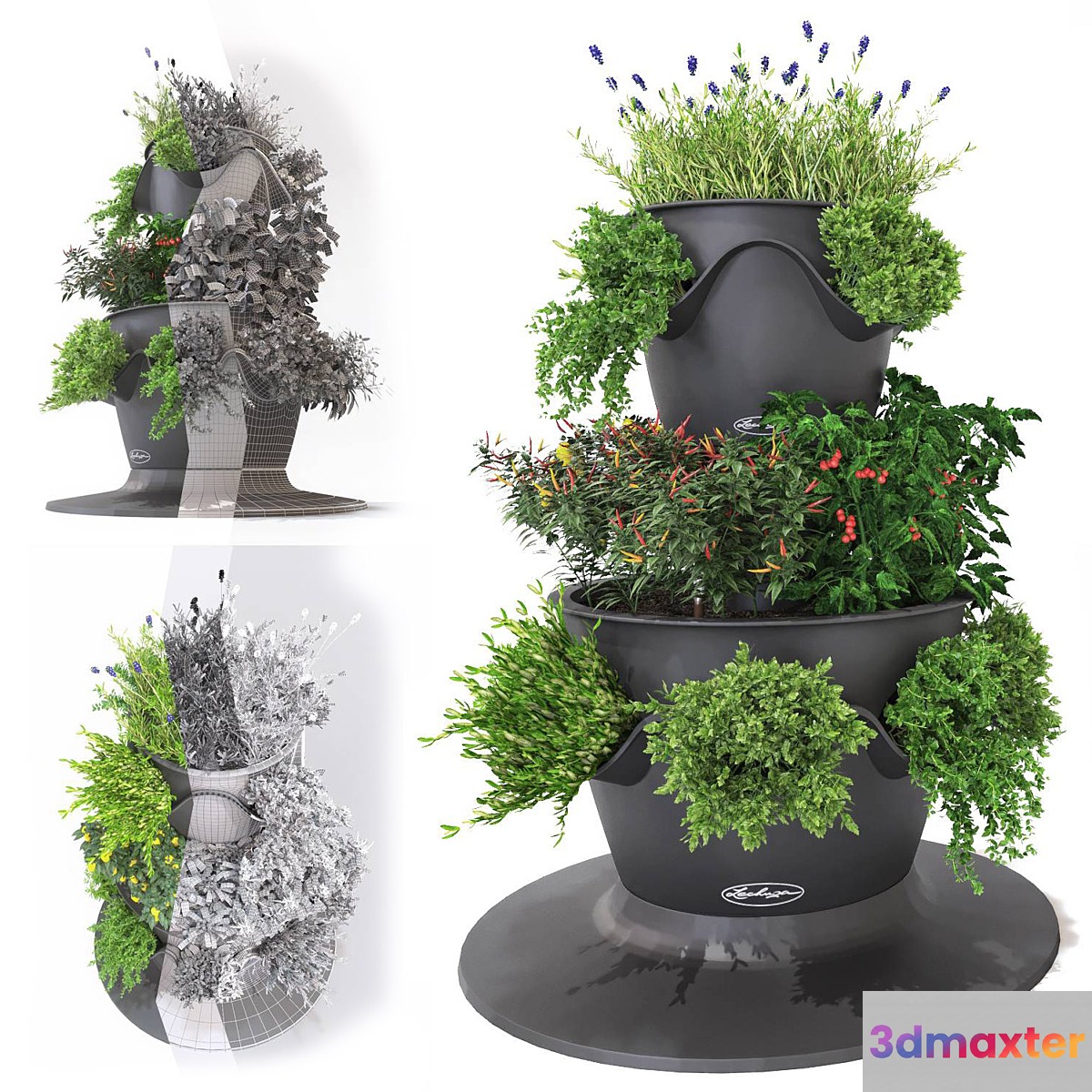 Vegetables and herbs (Lechuza set) 3D Max