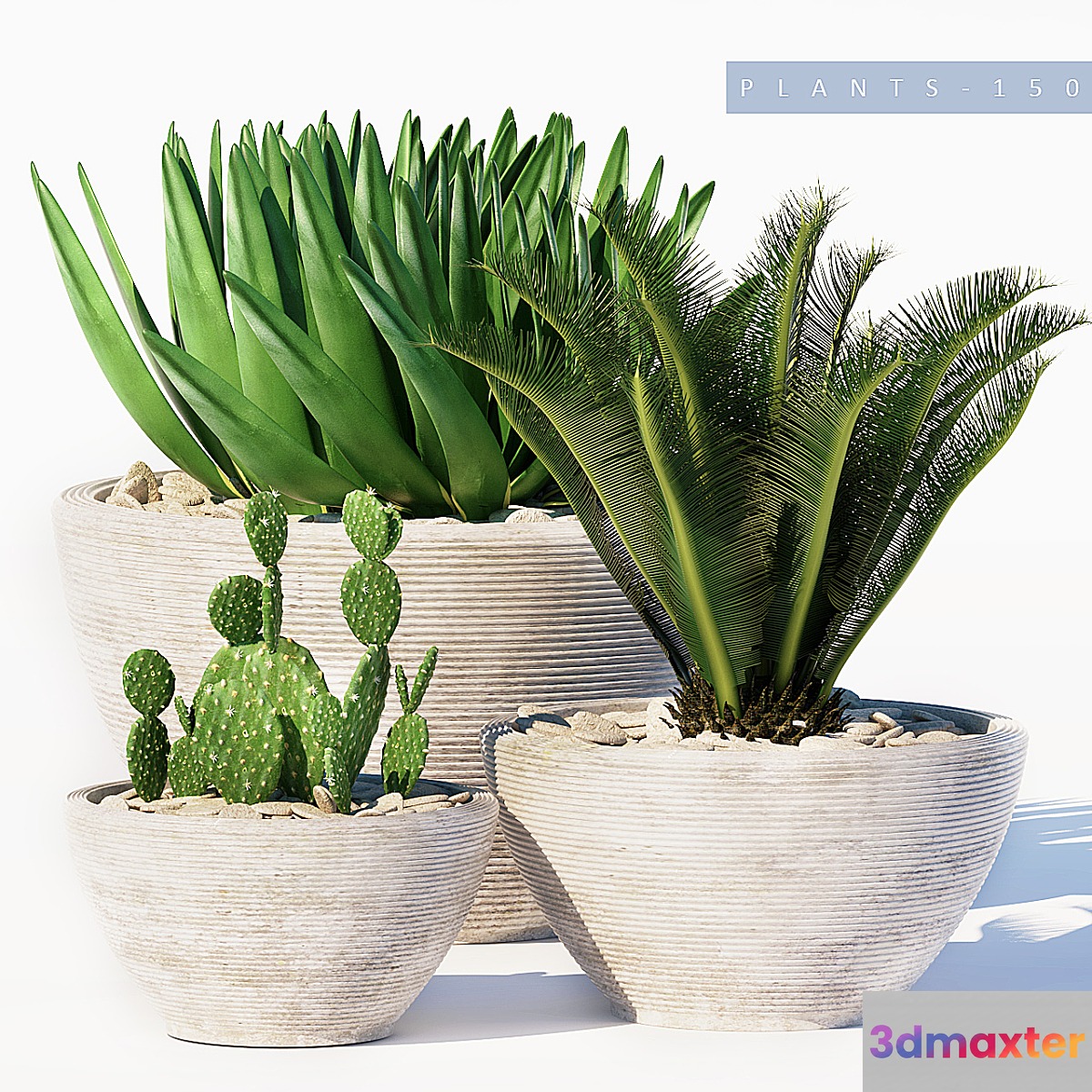 PLANTS 150 - No.2