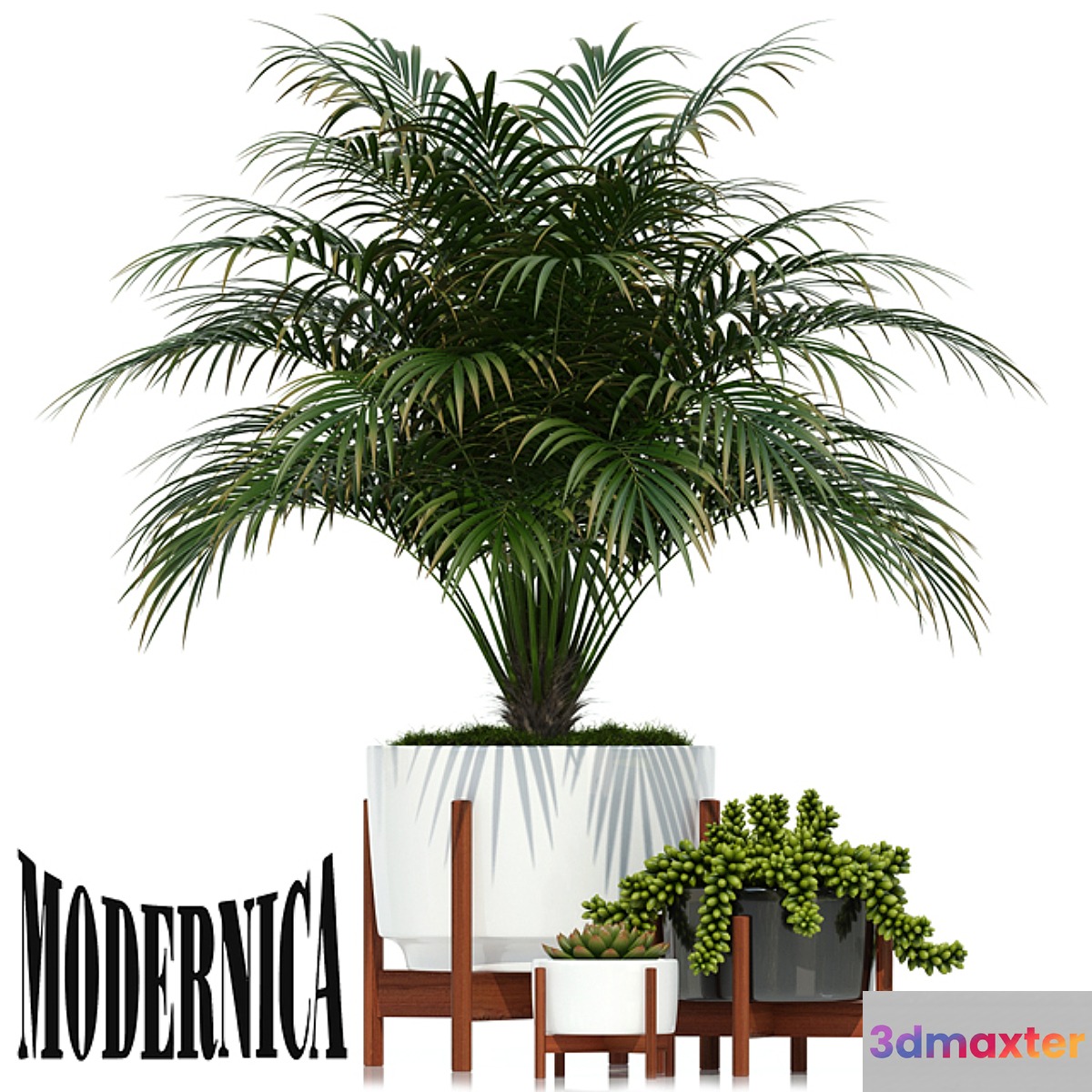 Plants collection 68 Modernica pots - No.2