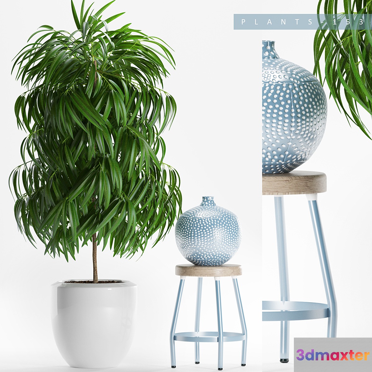 PLANTS 153