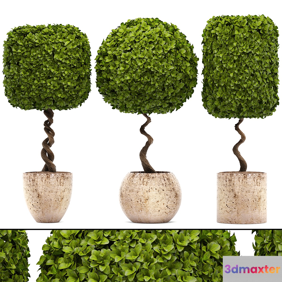 Collection of plants.  garden trees landscaping flowerpot pot boxwood topiary topiary 3D Max