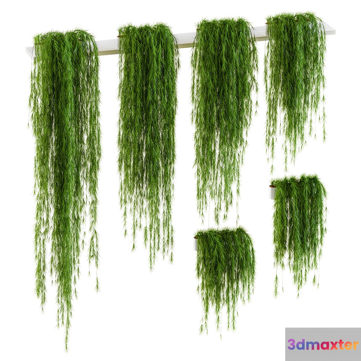 Plants for shelves. 6 items - No.3