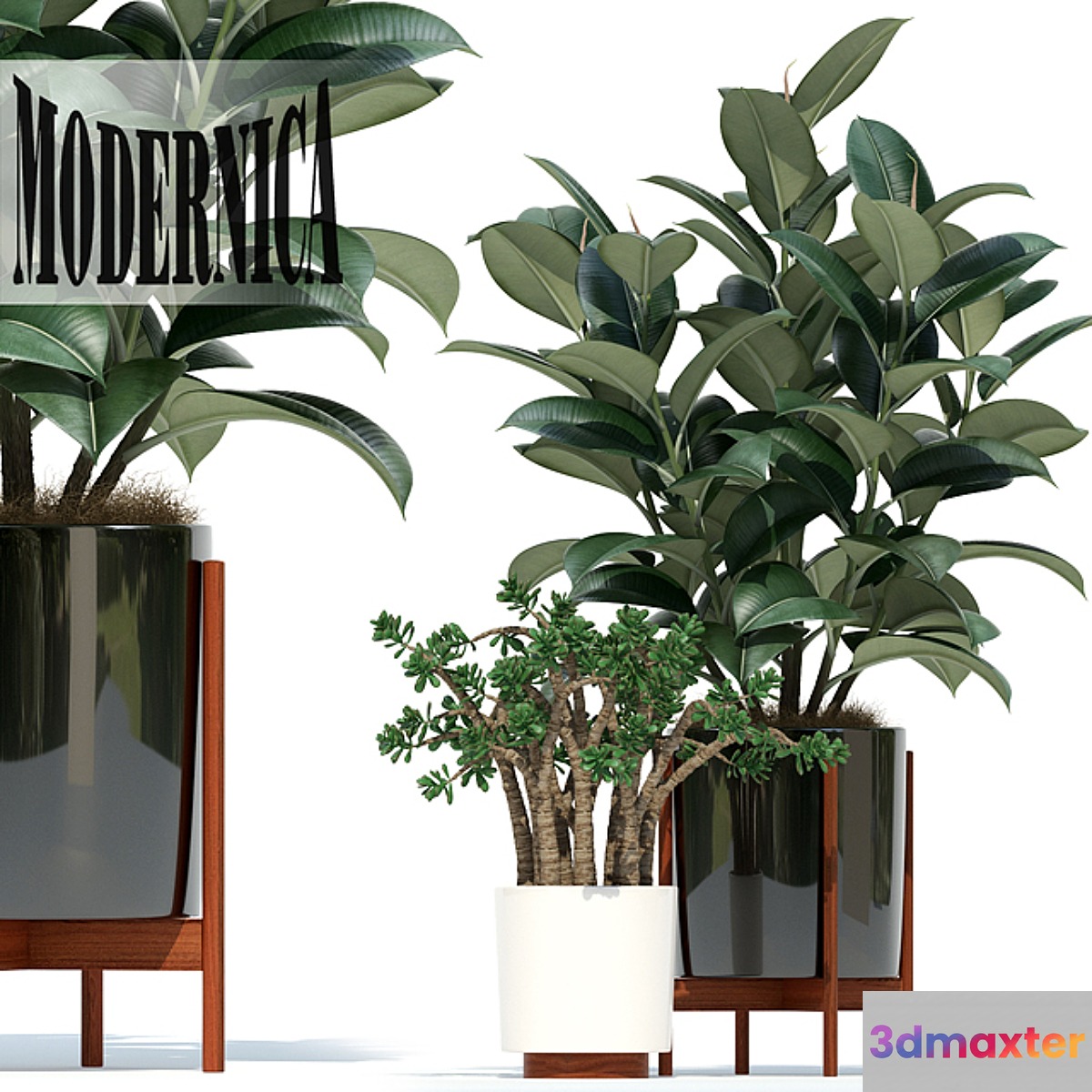 Plants collection 72 Modernica pots 3D Max