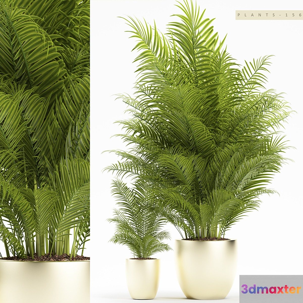 PLANTS 156 3D Max