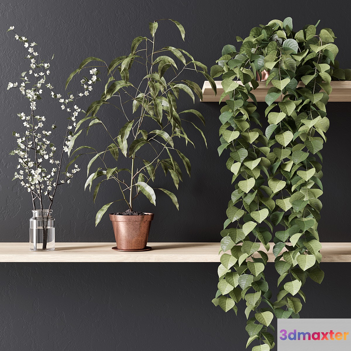 PLANT_002 - No.2