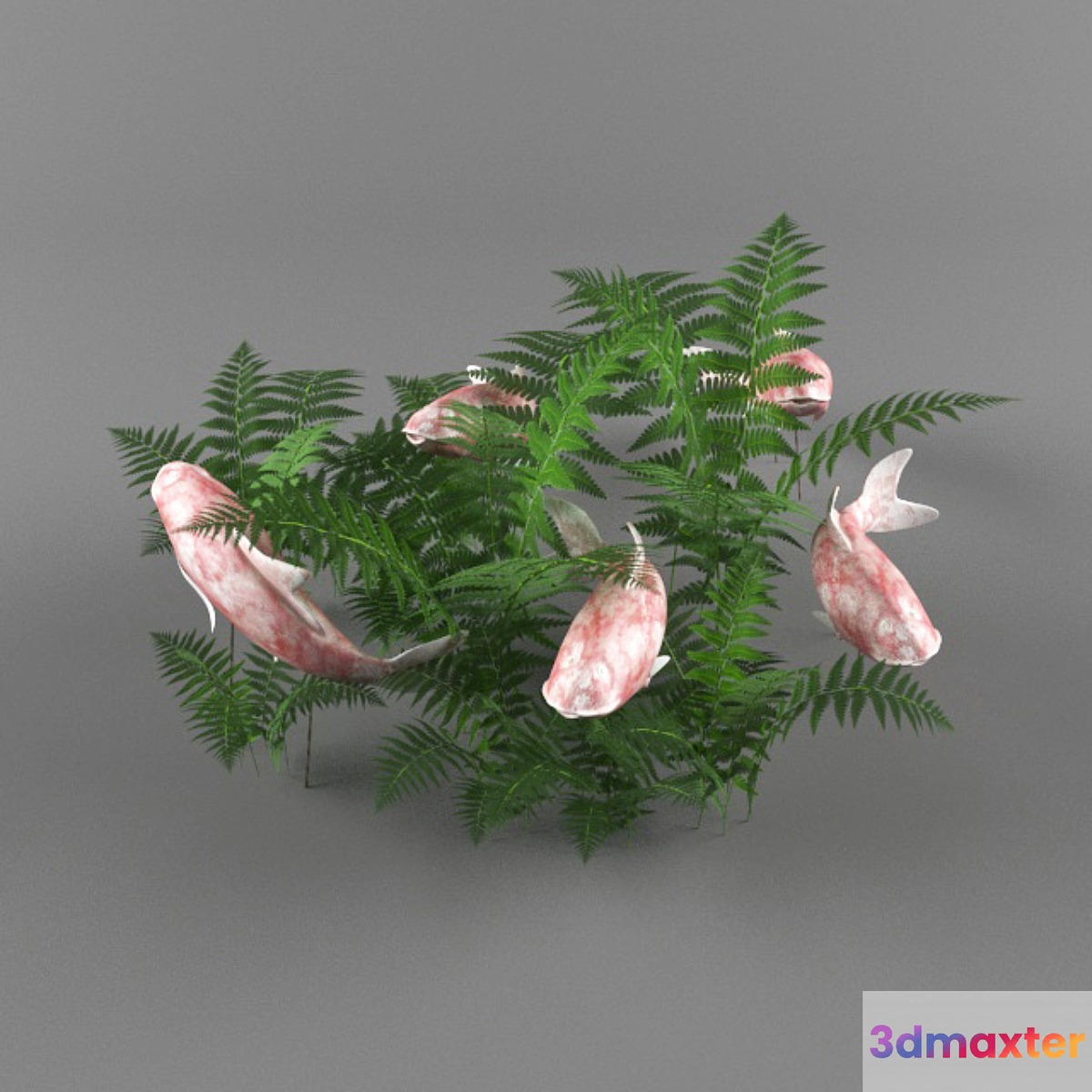 Fish koi 3D Max