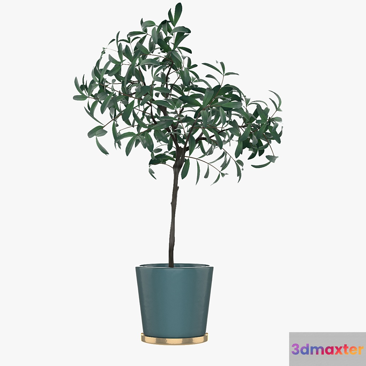 Pot Plant 25 3D Max
