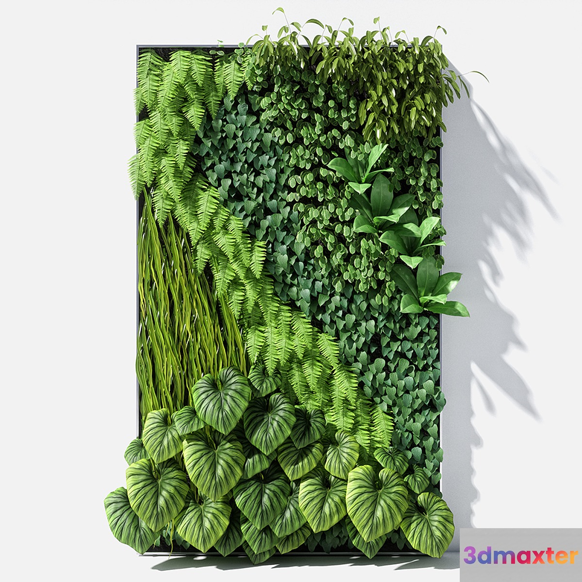 vertical garden 02 - No.2
