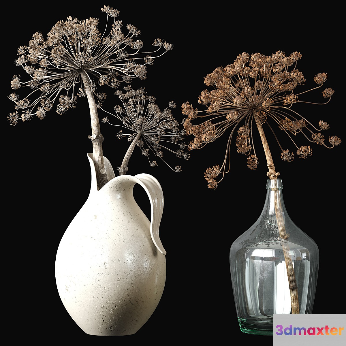 Old heracleum 2 - No.2 3D Max