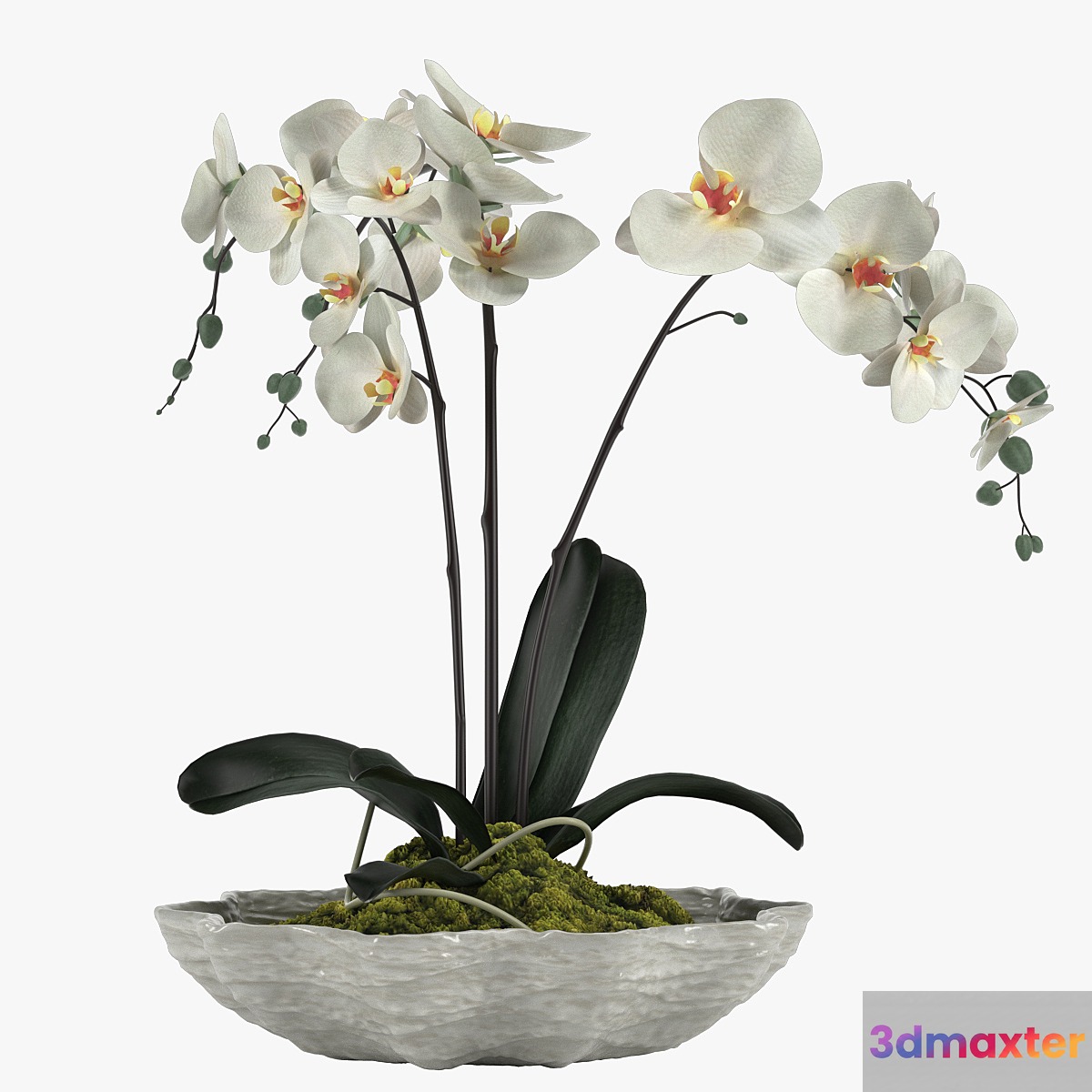 Pot Plant 24 3D Max