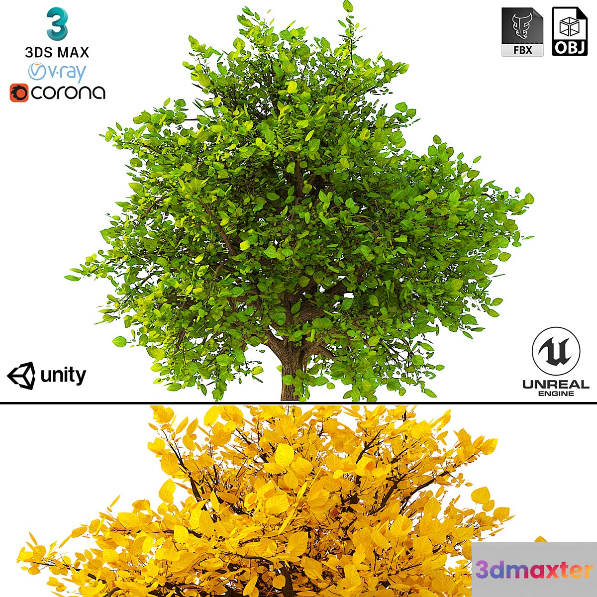 3D Model of the Bush No. 2 3D Max