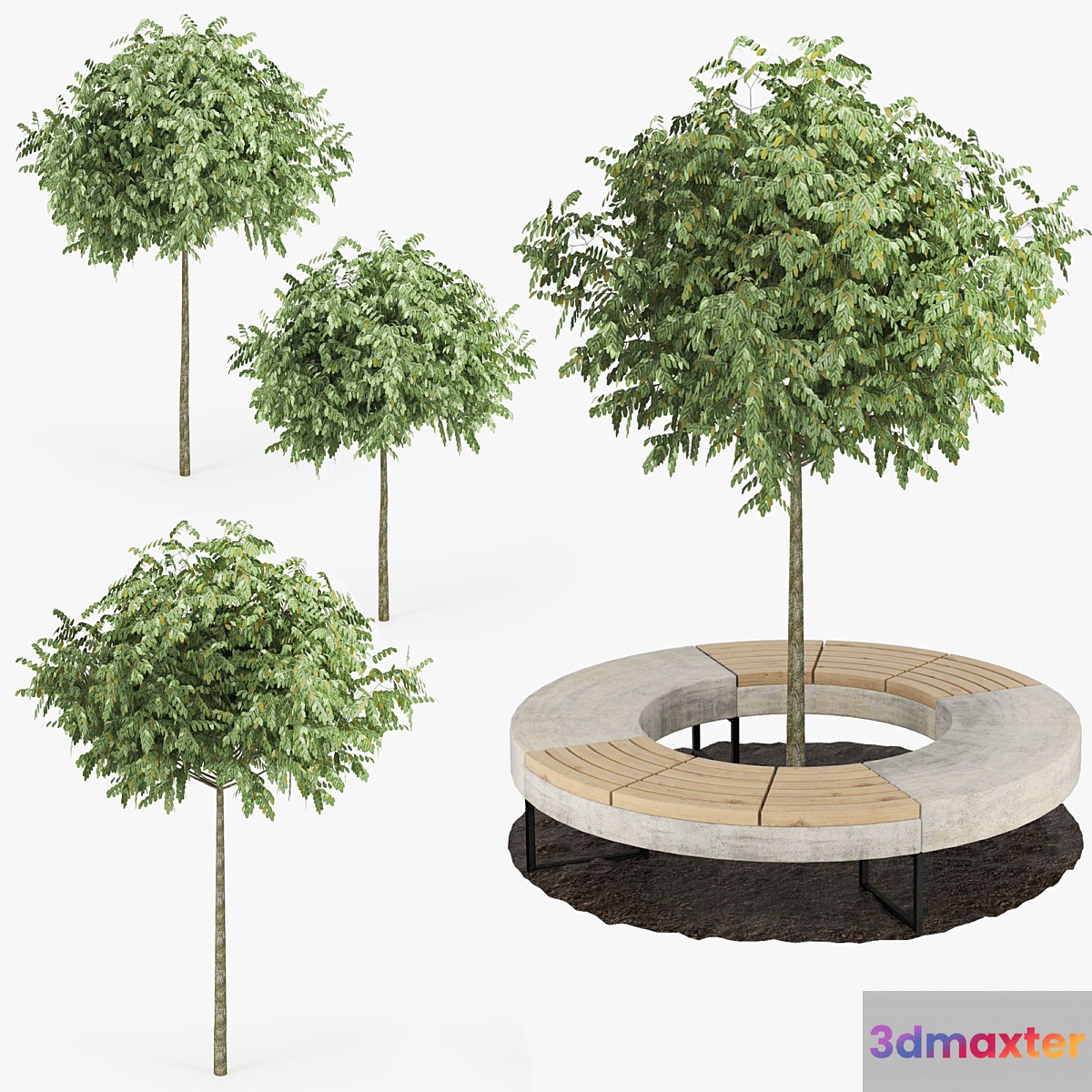 Tree Flowerbed