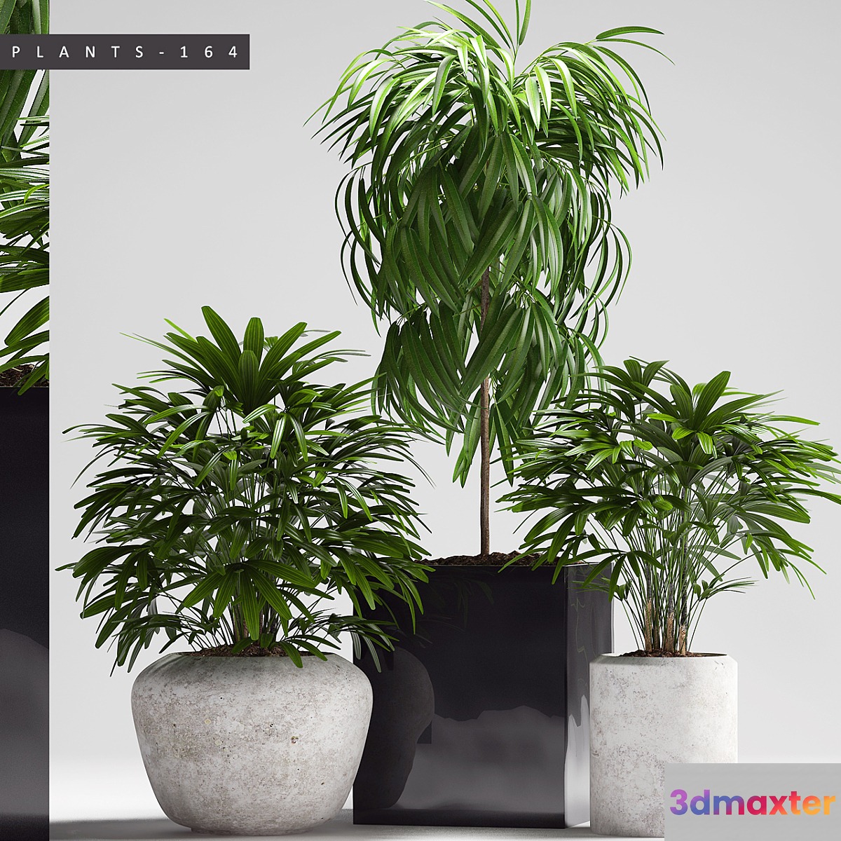 PLANTS 164 - No.2