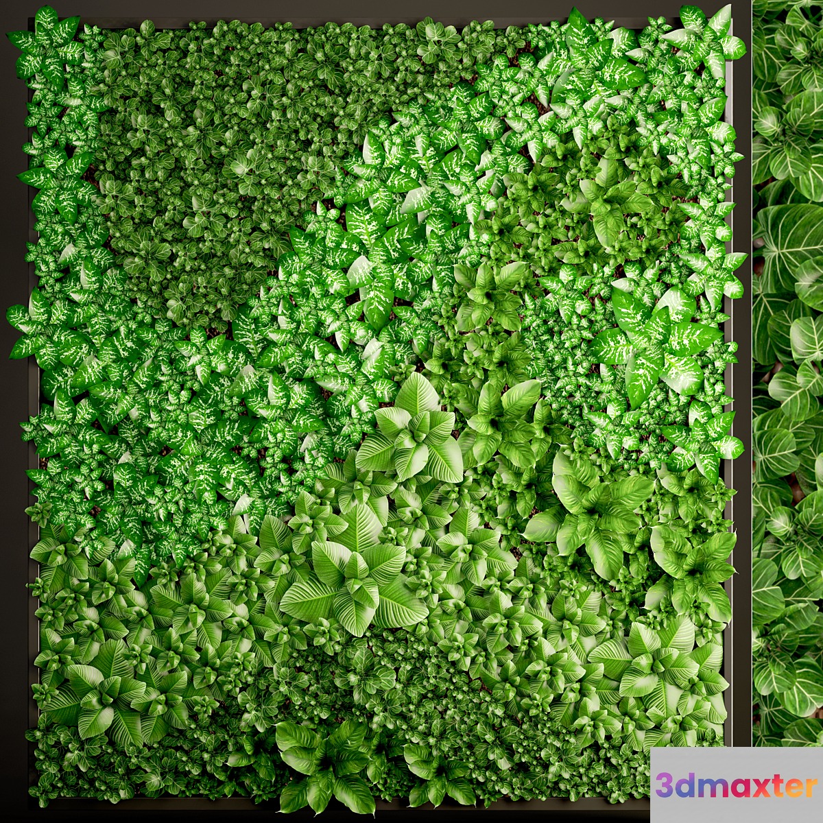 Vertical garden 6. Vertical garden phytowall phytomodule landscaping green painting bush wall decor eco design