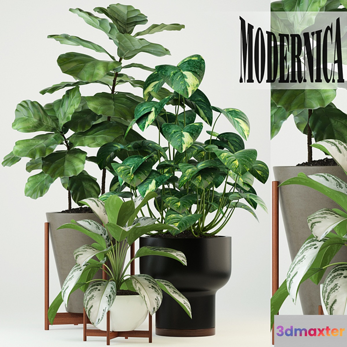 Plants collection 74 Modernica pots