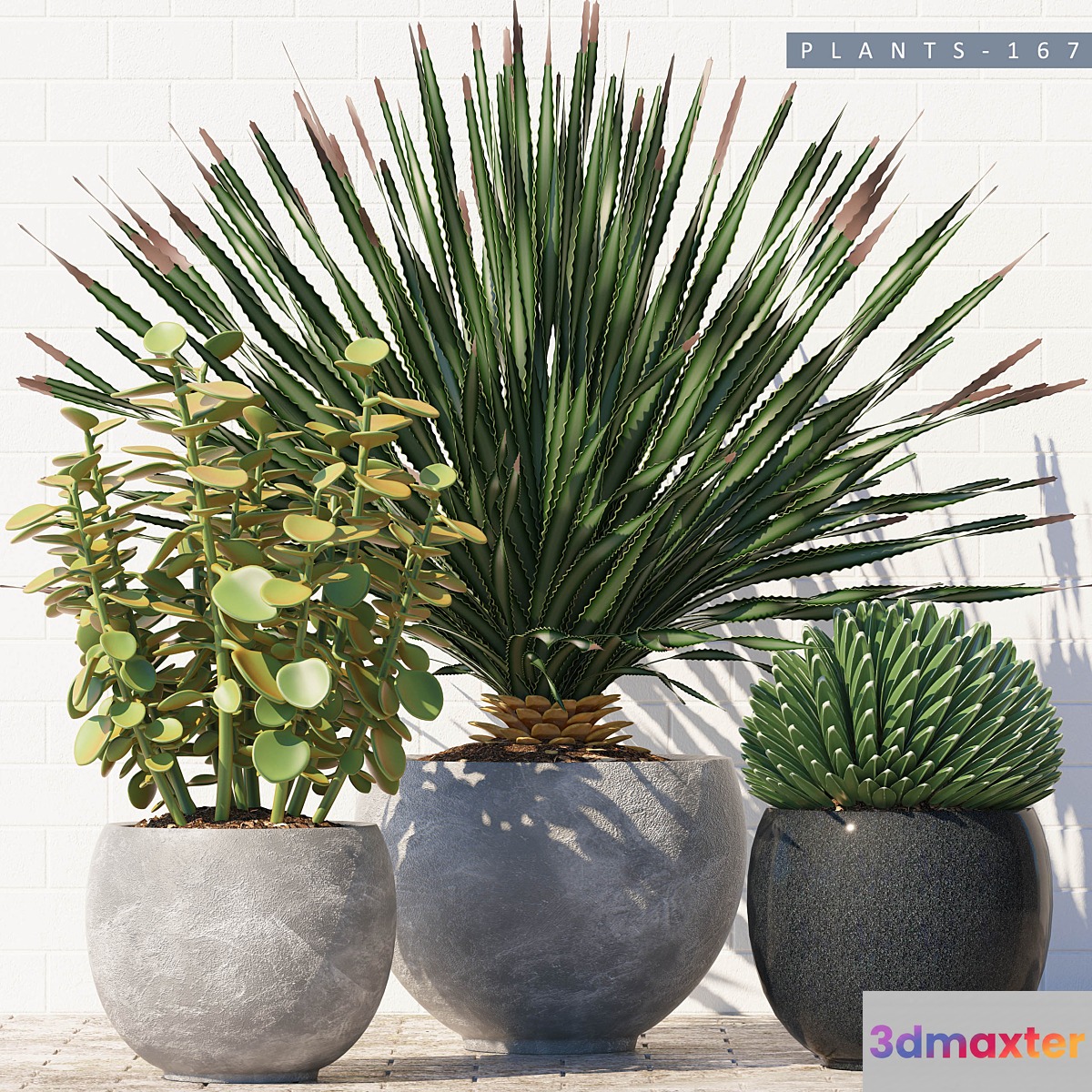 PLANTS 167 3D Max