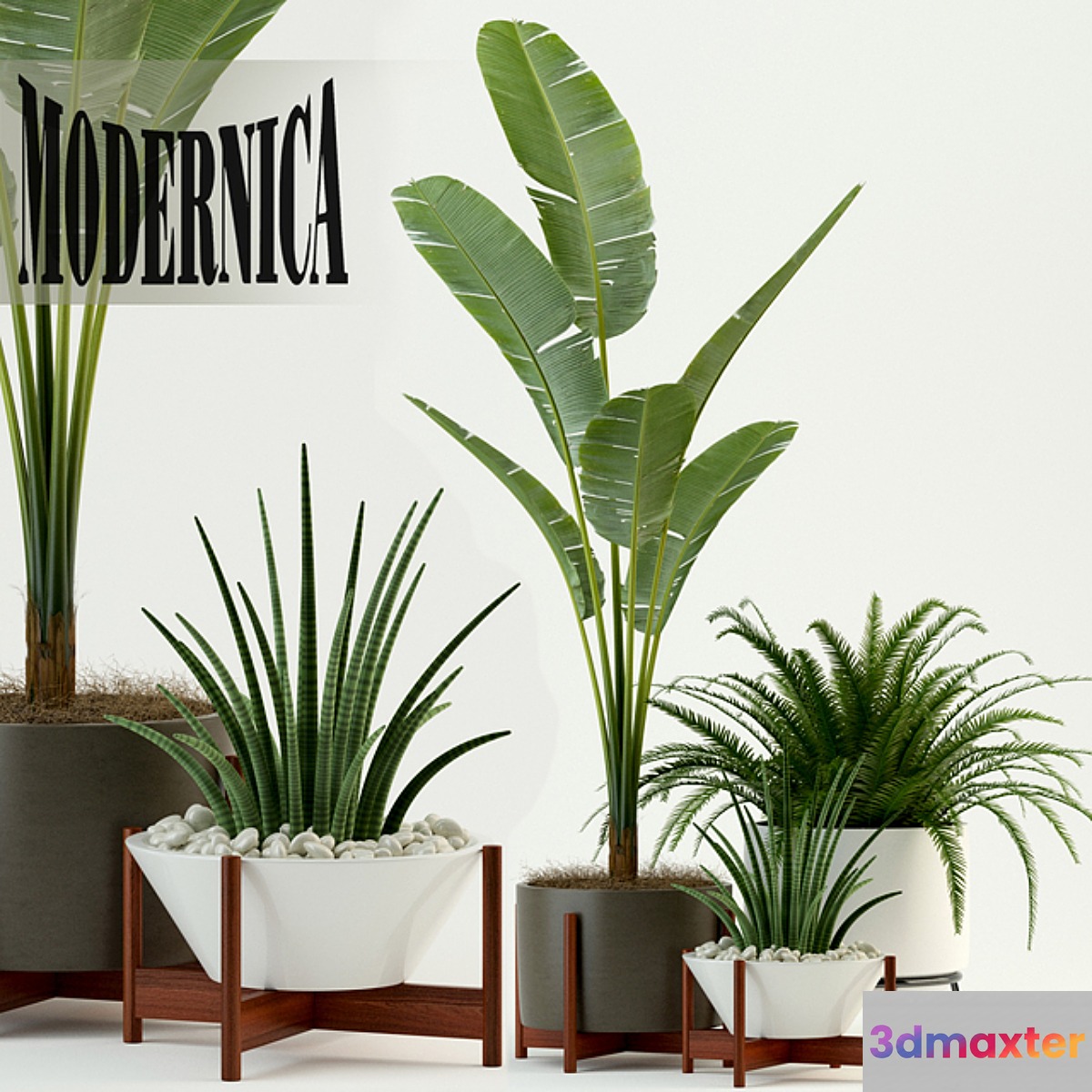 Plants collection 76 Modernica pots 3D Max