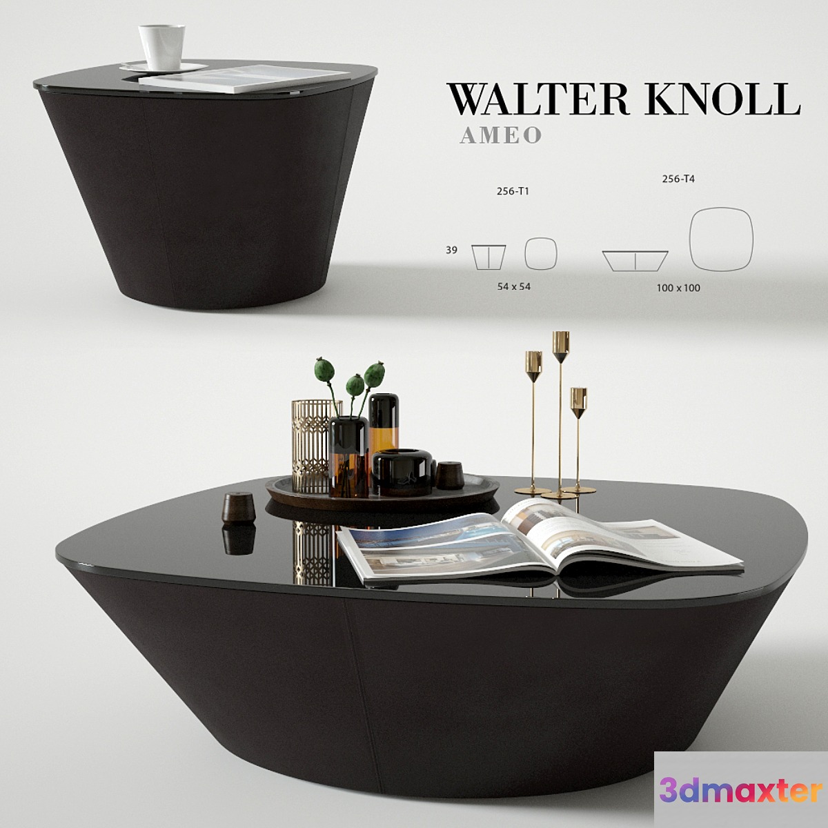 Coffee table Walter Knoll Ameo 3D Max