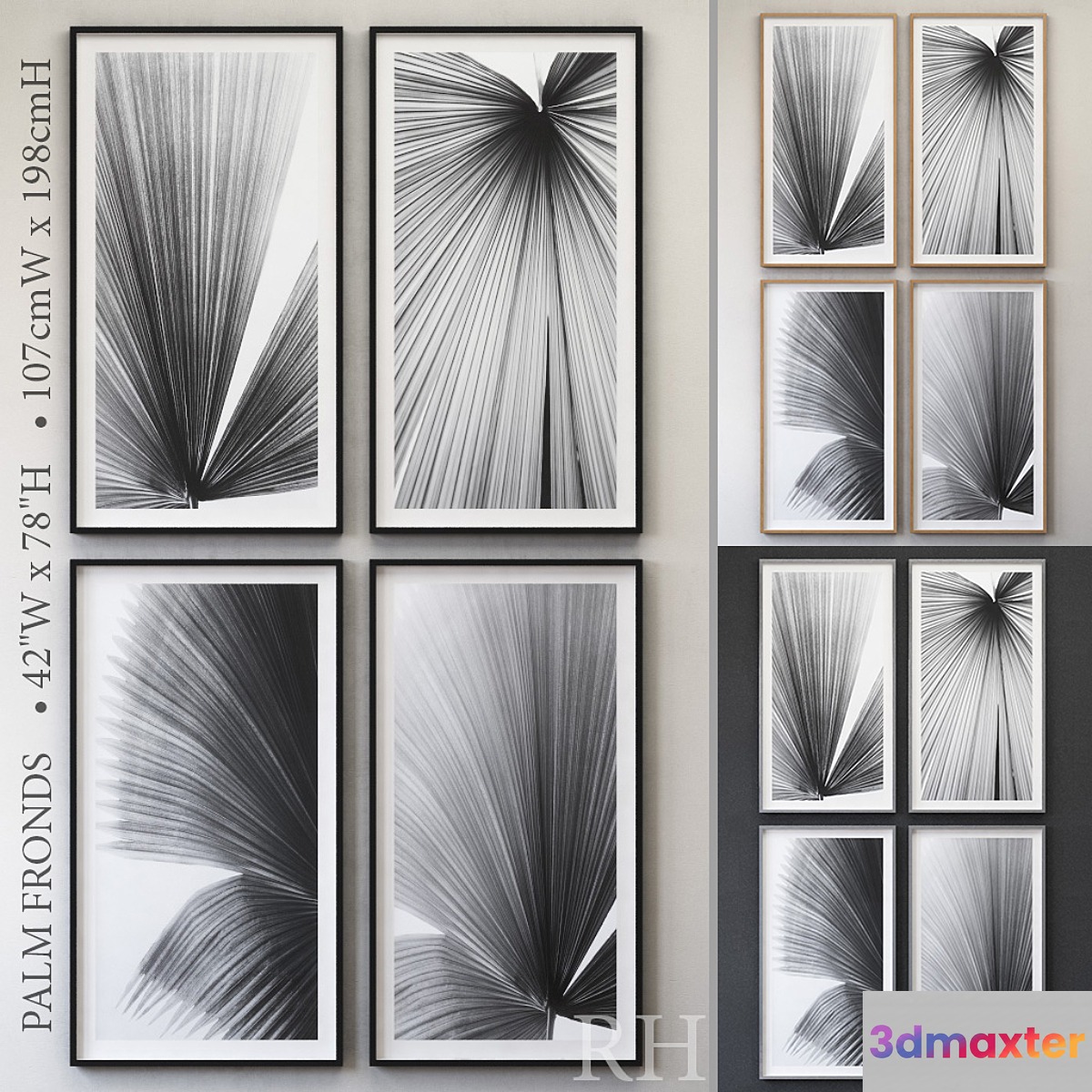 RH PALM FRONDS 3D Max
