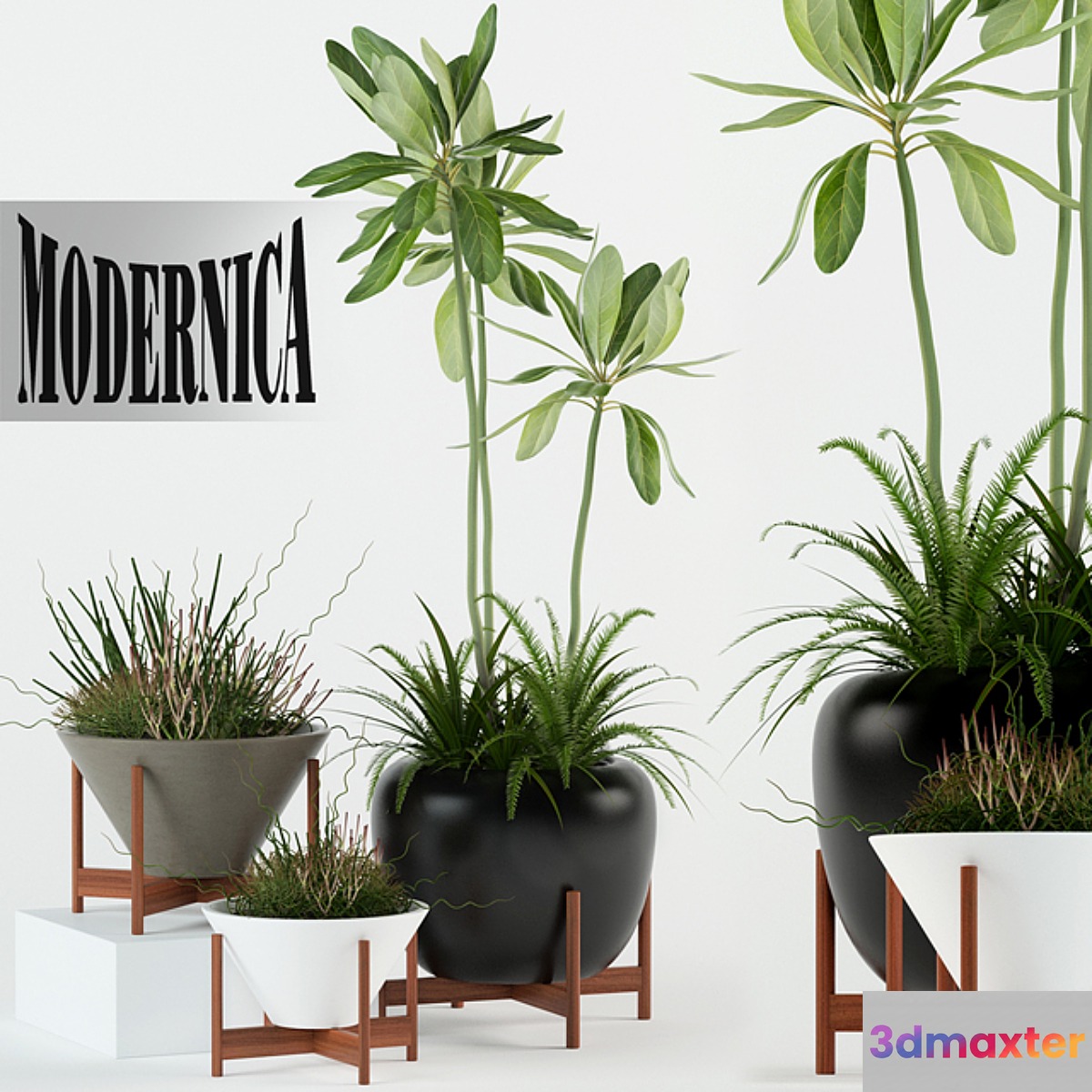Plants collection 77 Modernica pots 3D Max