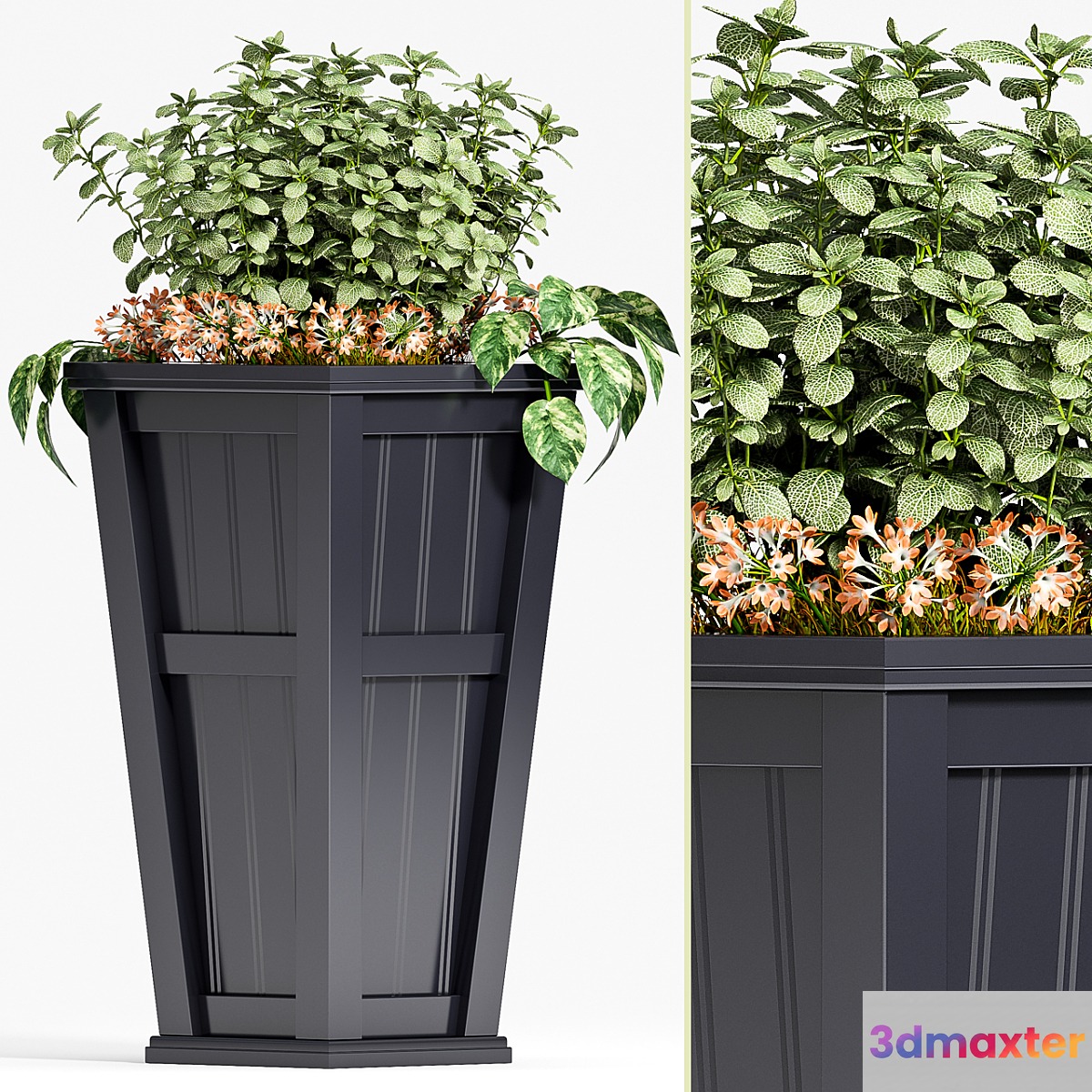 PLANT SET -88