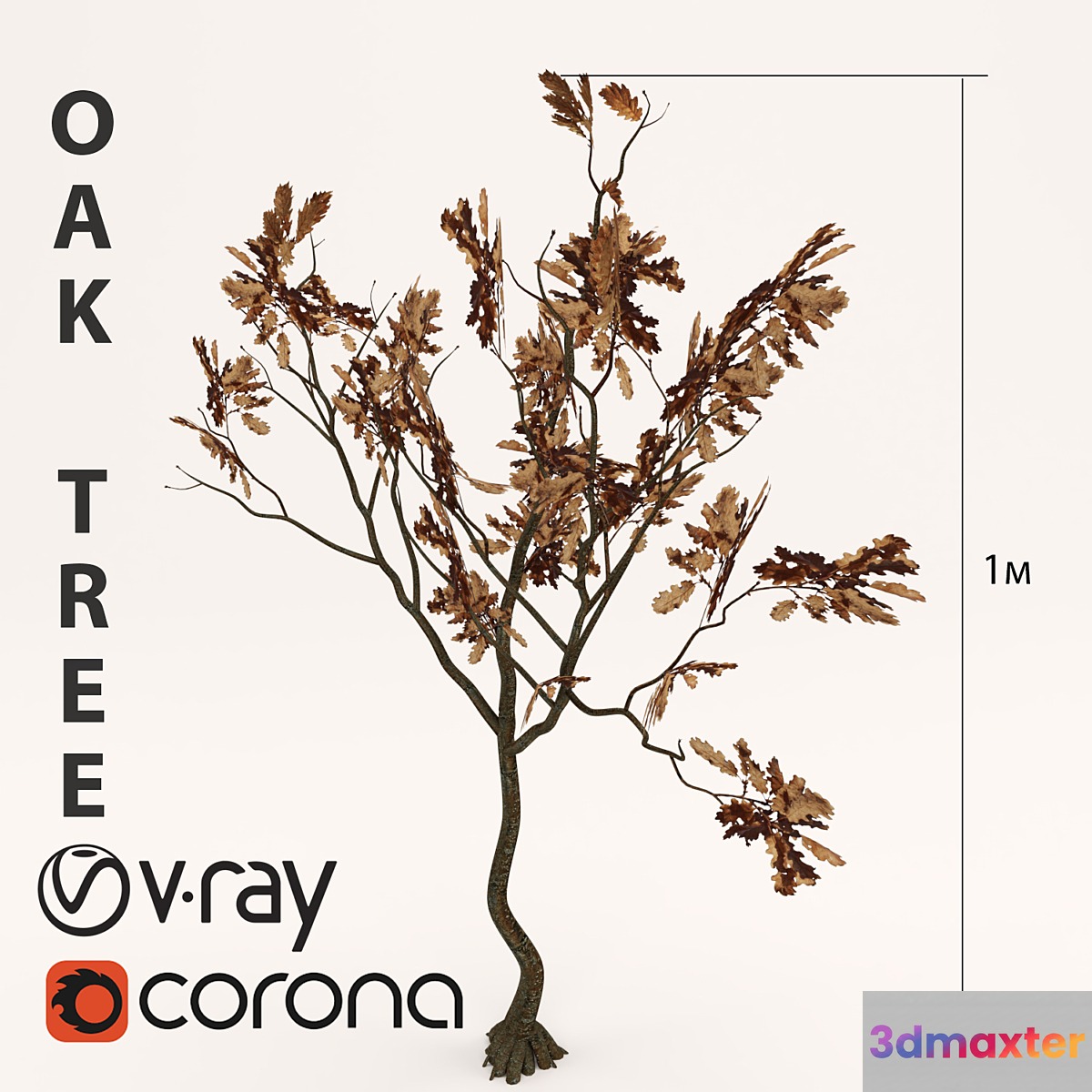 OAK Tree 3D Max