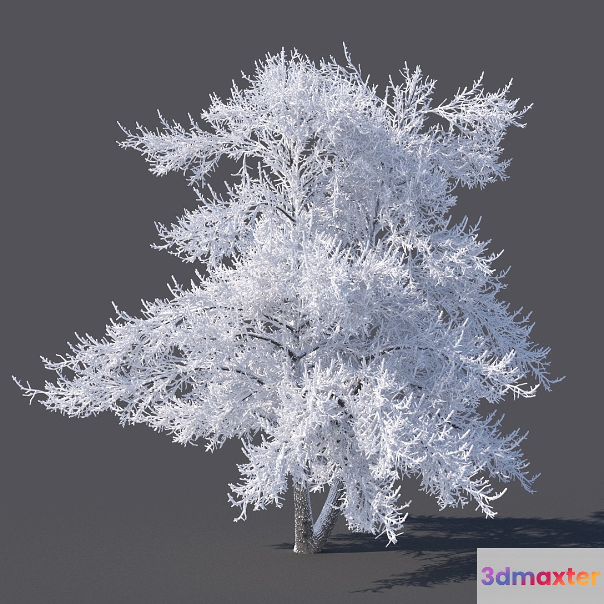 Winter tree (6 meters)