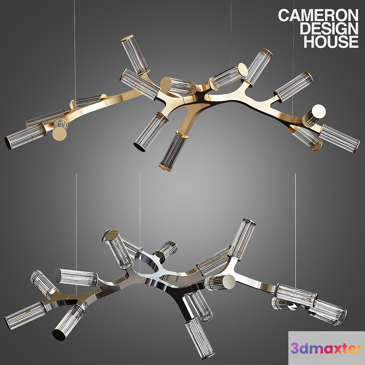 Cameron Design House HAARA 3D Max