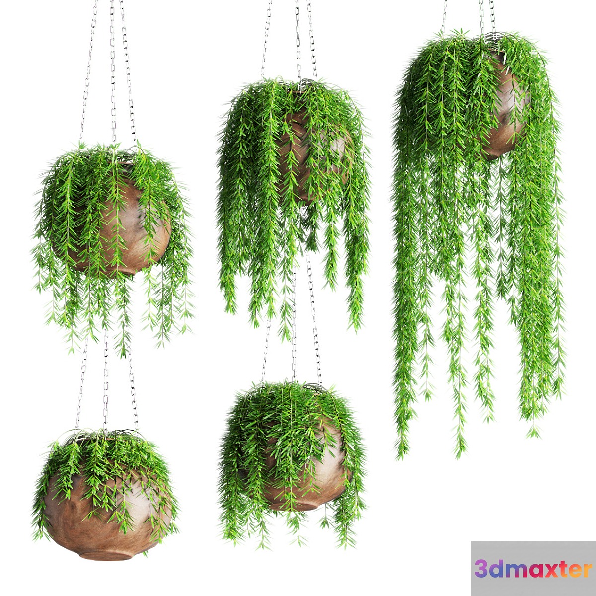 Hanging plants in pots 3D Max