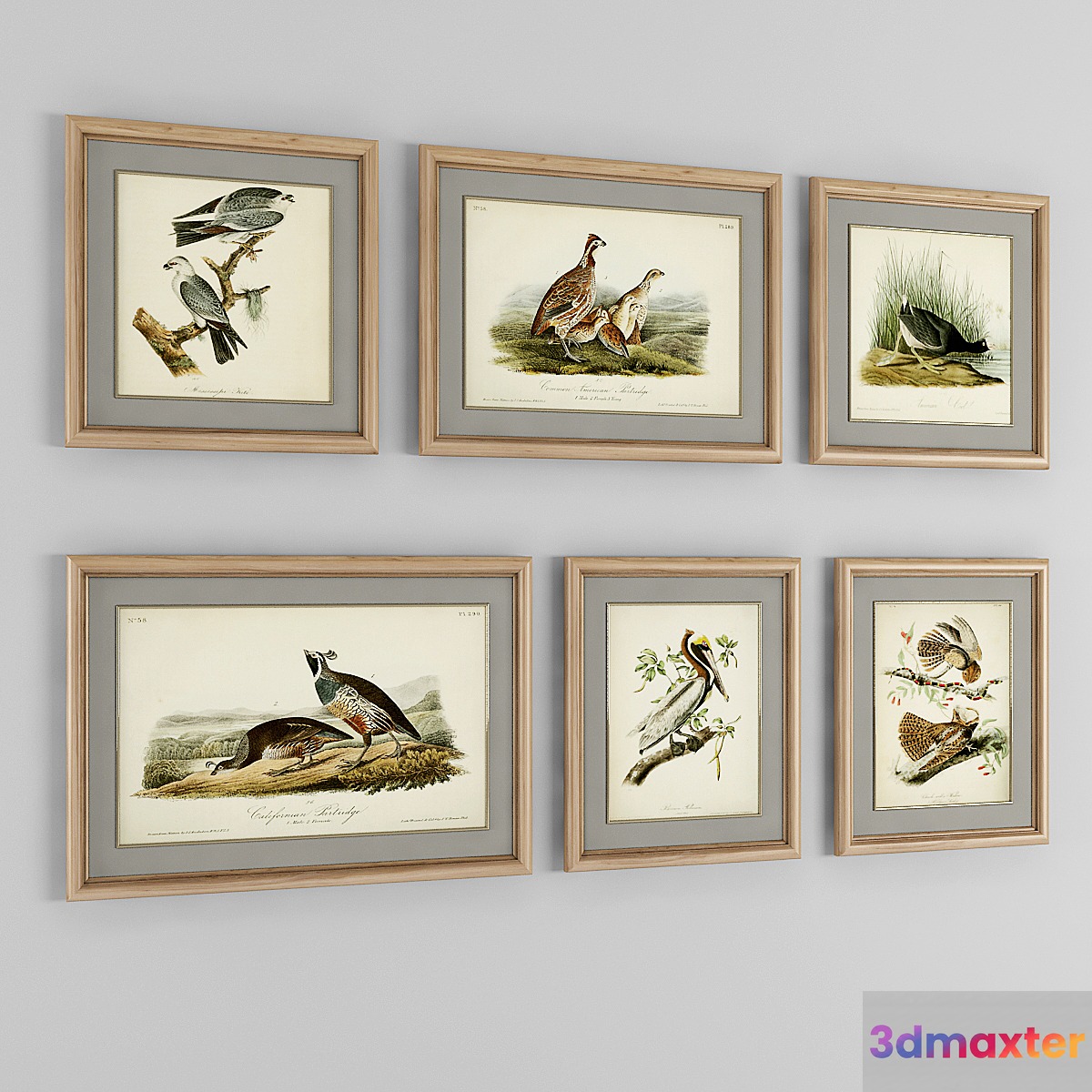 A set of posters. Birds 2 3D Max