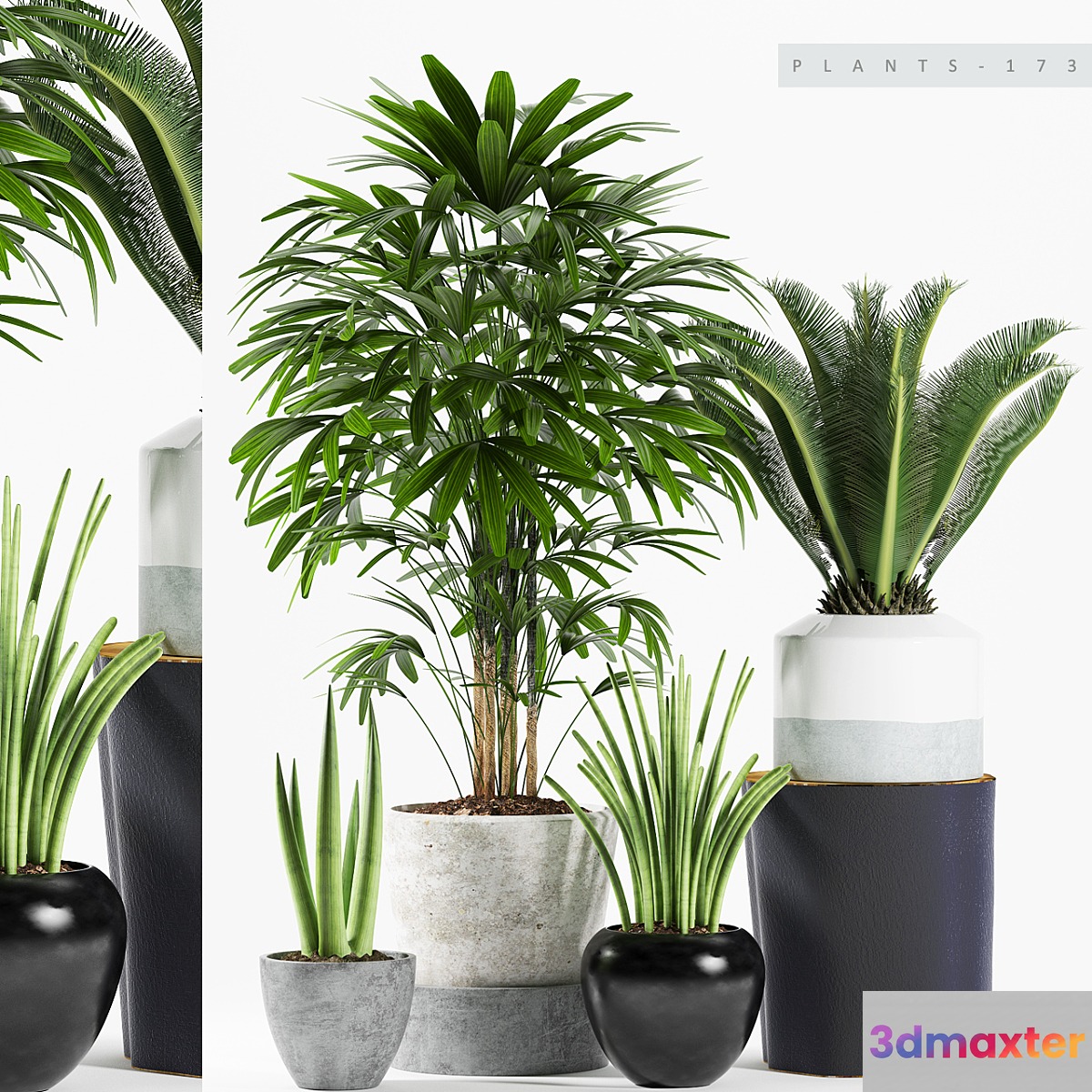 PLANTS 173