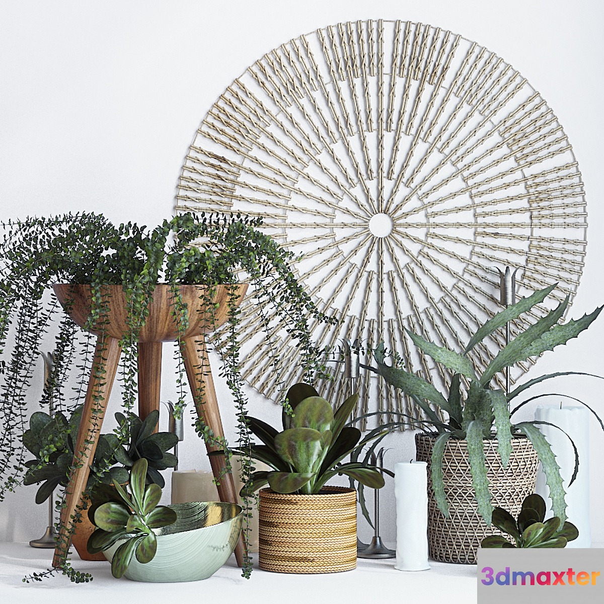 Plant decor set - 1
